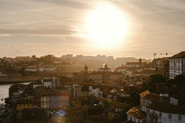 Eco-Friendly Beach Camping in the UK: Protect Nesting Birds & Connect with Nature